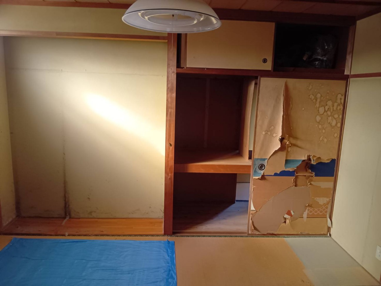f:id:officesako:20260908220202j:image f:id:officesako:20260908220202j:image