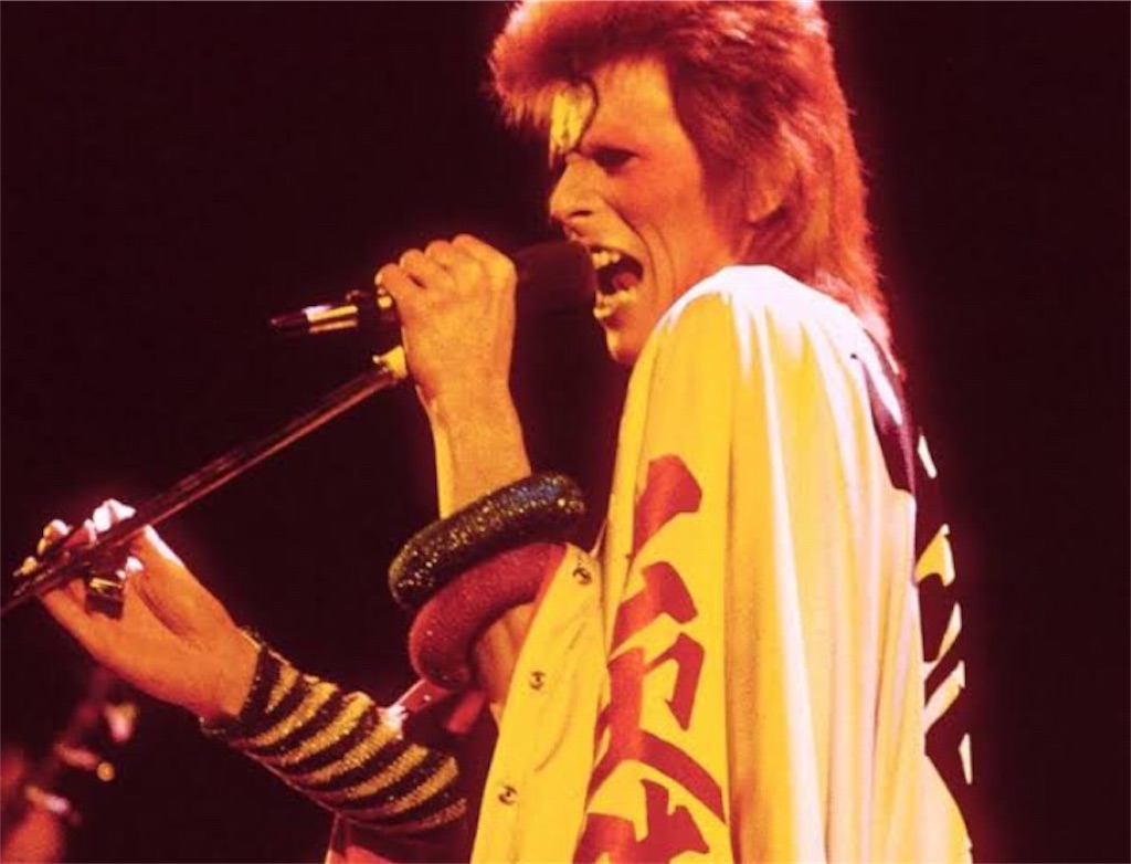 David Bowie White Light White Heat Officewildsideの日記