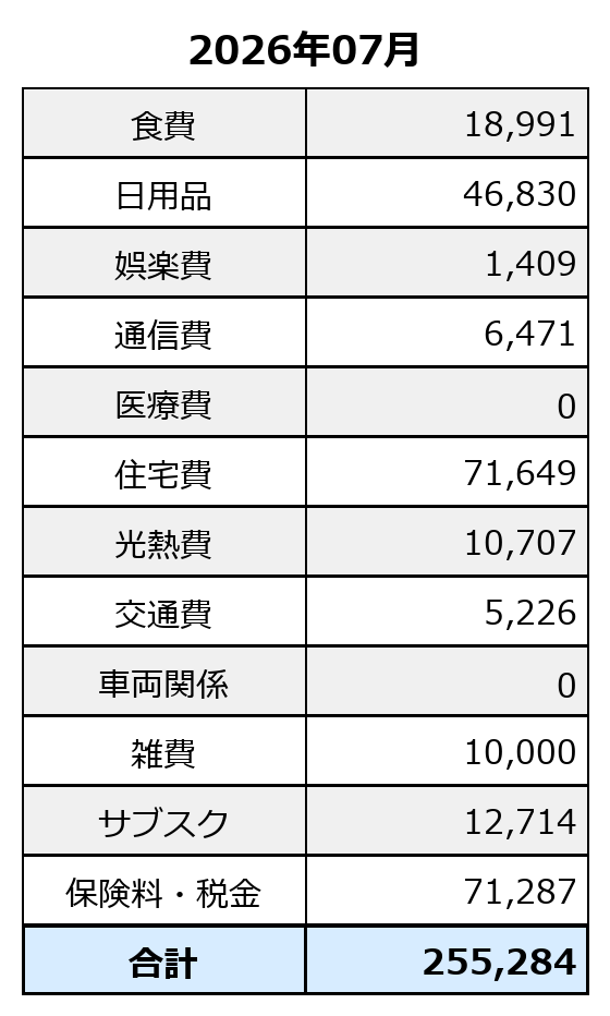 2026年7月の調整前家計簿。総支出は255,284円。