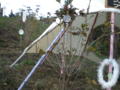 20081005065155