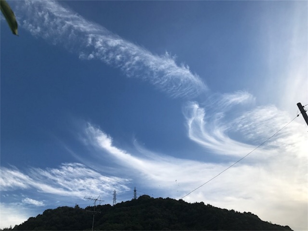 f:id:offspring5539:20190804141416j:image