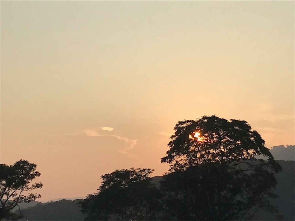 f:id:offspring5539:20190804141502j:image