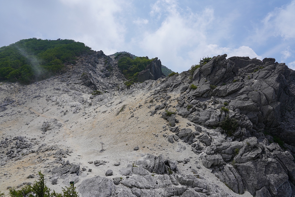 f:id:offtama:20200810101318j:plain