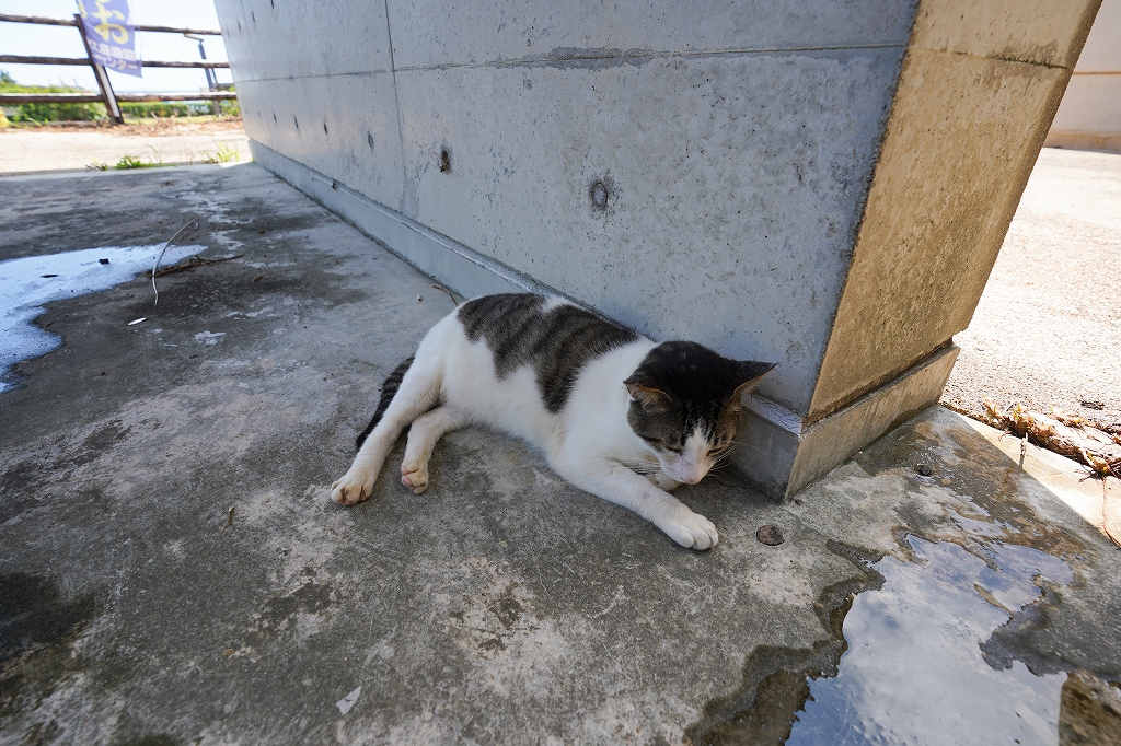 f:id:offtama:20200816082156j:plain