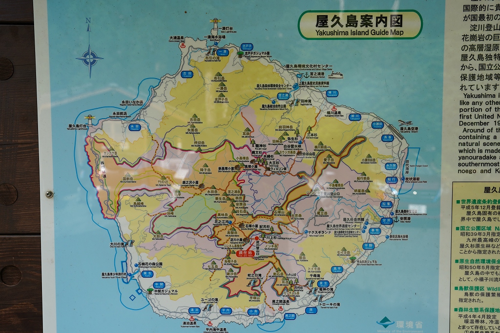 f:id:offtama:20200816082247j:plain