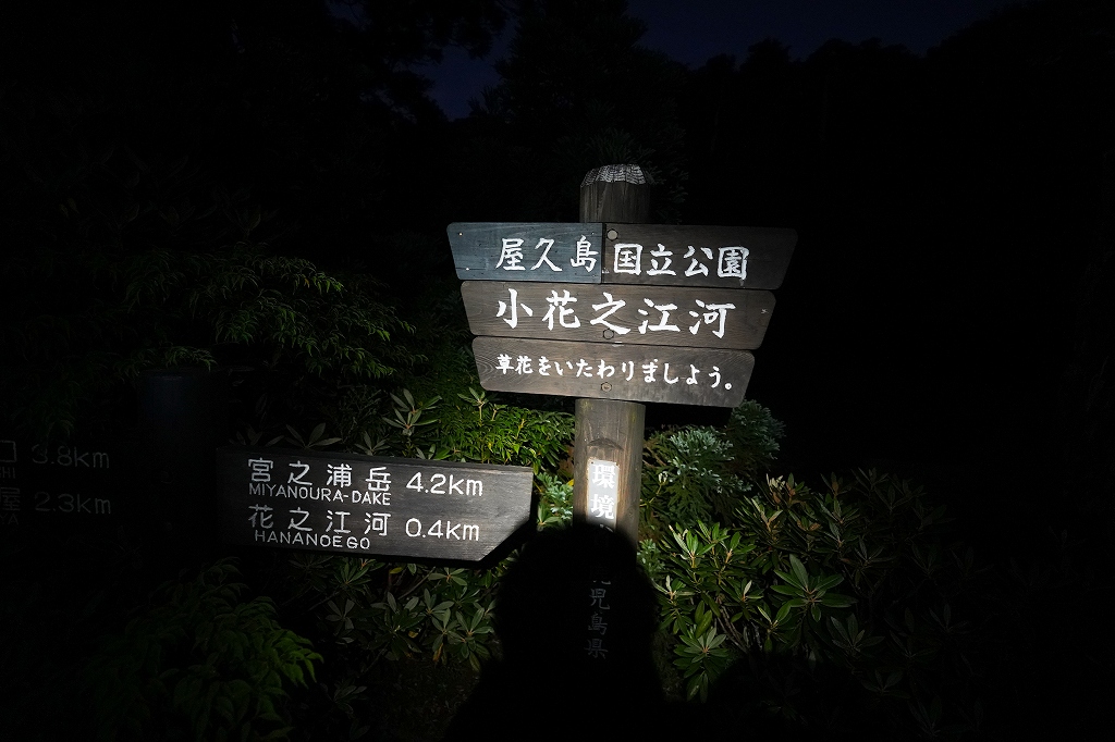f:id:offtama:20200816082333j:plain
