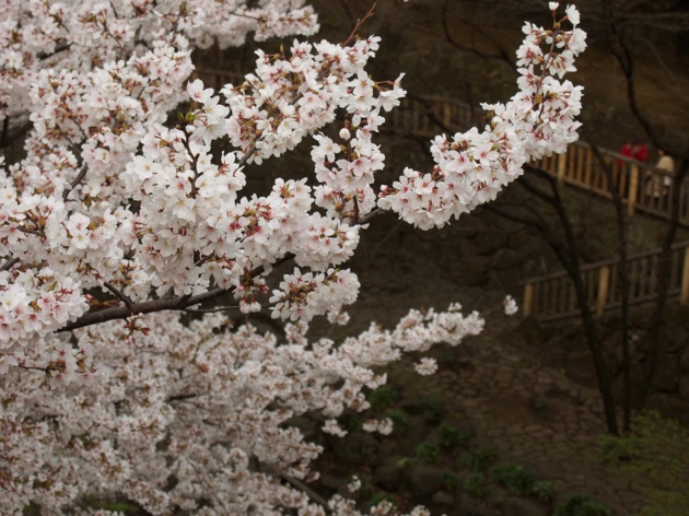 f:id:offtimecafe:20130326160617j:image