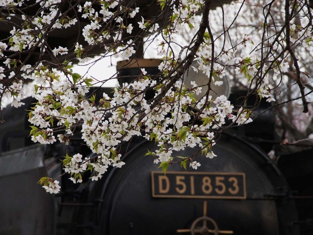 f:id:offtimecafe:20130326165517j:image