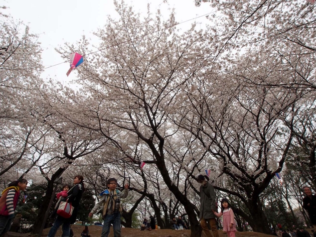 f:id:offtimecafe:20130326170857j:image