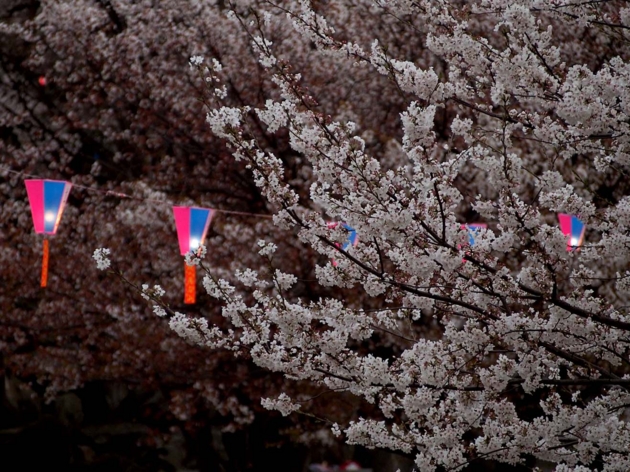 f:id:offtimecafe:20130326173713j:image