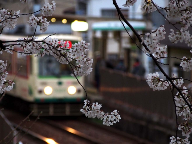 f:id:offtimecafe:20130326174801j:image
