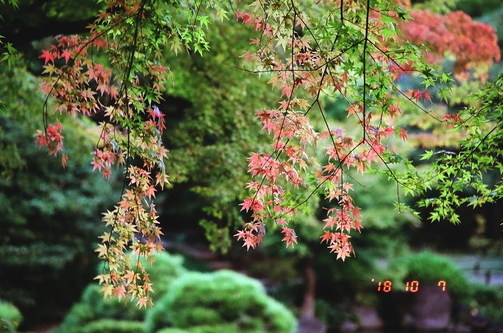 f:id:offtimecafe:20181009012431j:plain f:id:offtimecafe:20181009012431j:plain