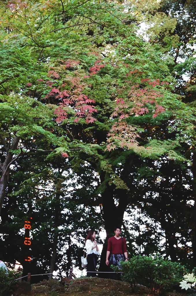 f:id:offtimecafe:20181009012452j:plain f:id:offtimecafe:20181009012452j:plain
