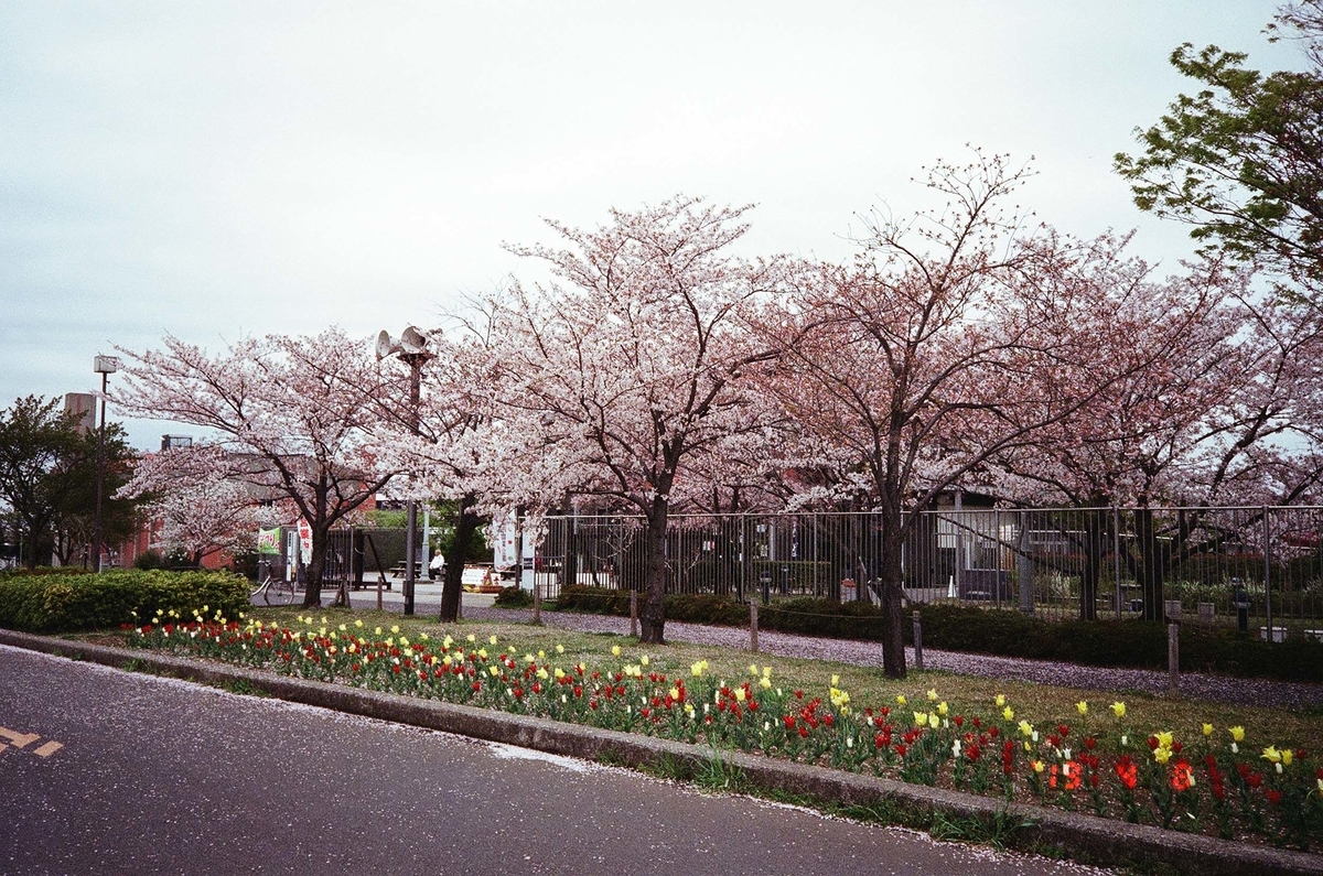 f:id:offtimecafe:20190705095046j:plain