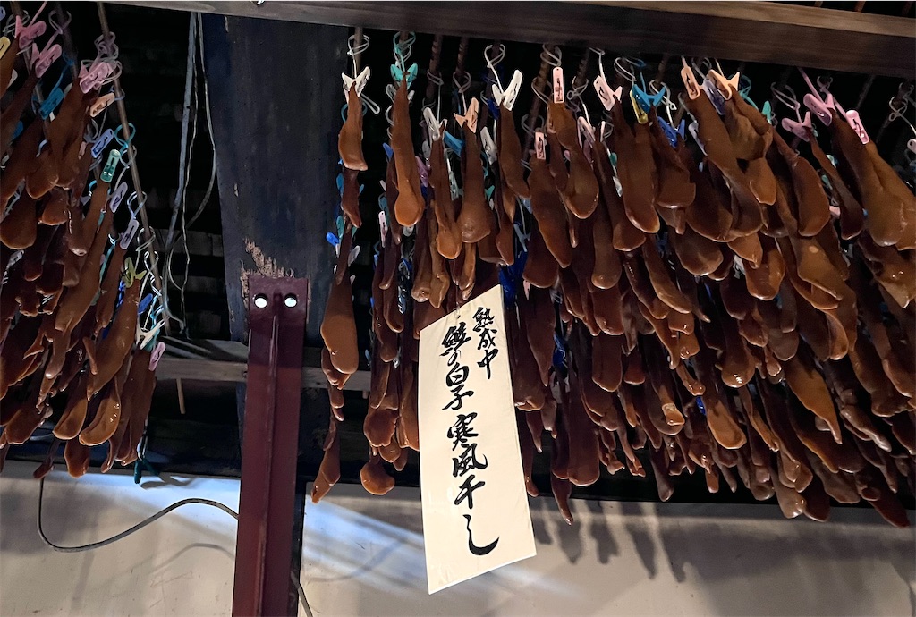 f:id:offtonmofu:20240213191226j:image