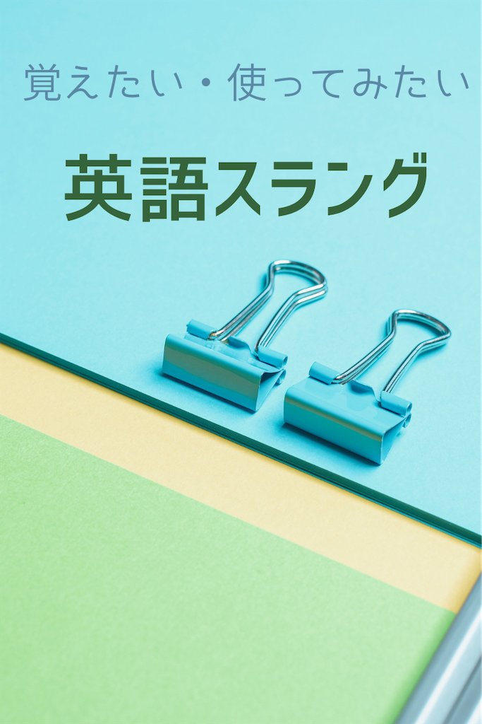 f:id:offtonmofu:20240423172958p:image f:id:offtonmofu:20240423172958p:image
