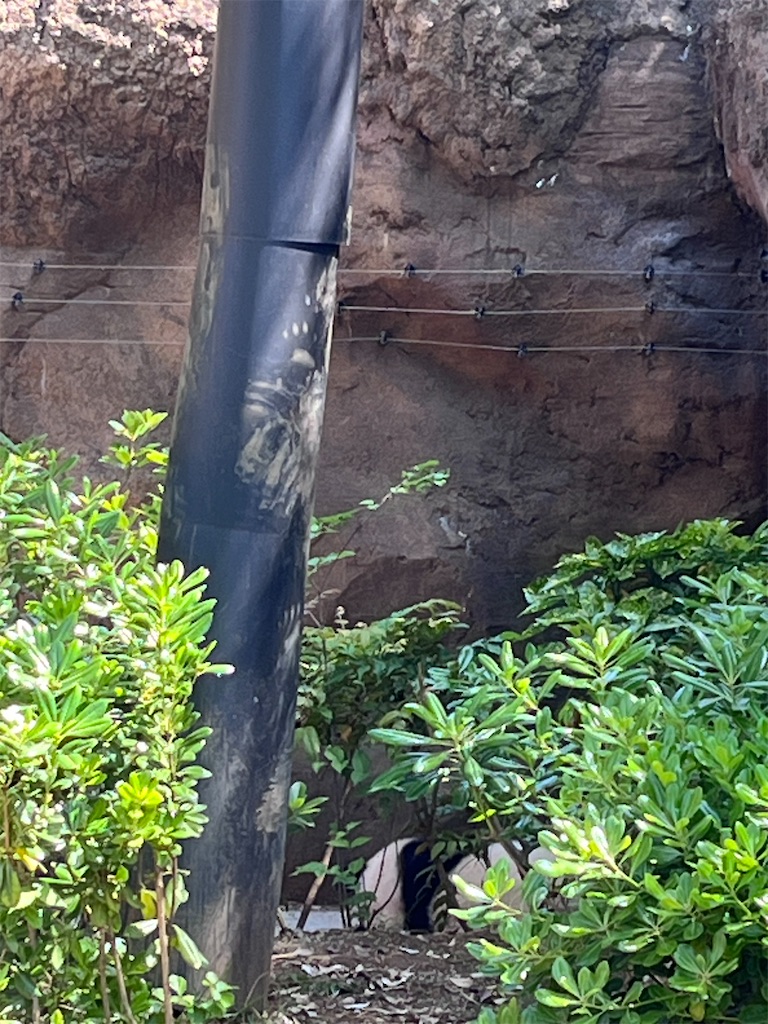 f:id:offtonmofu:20240507201816j:image