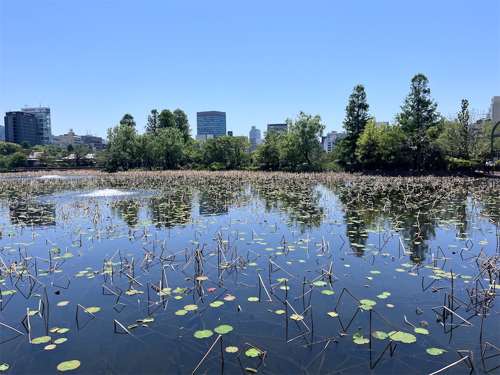 f:id:offtonmofu:20240507221108j:image