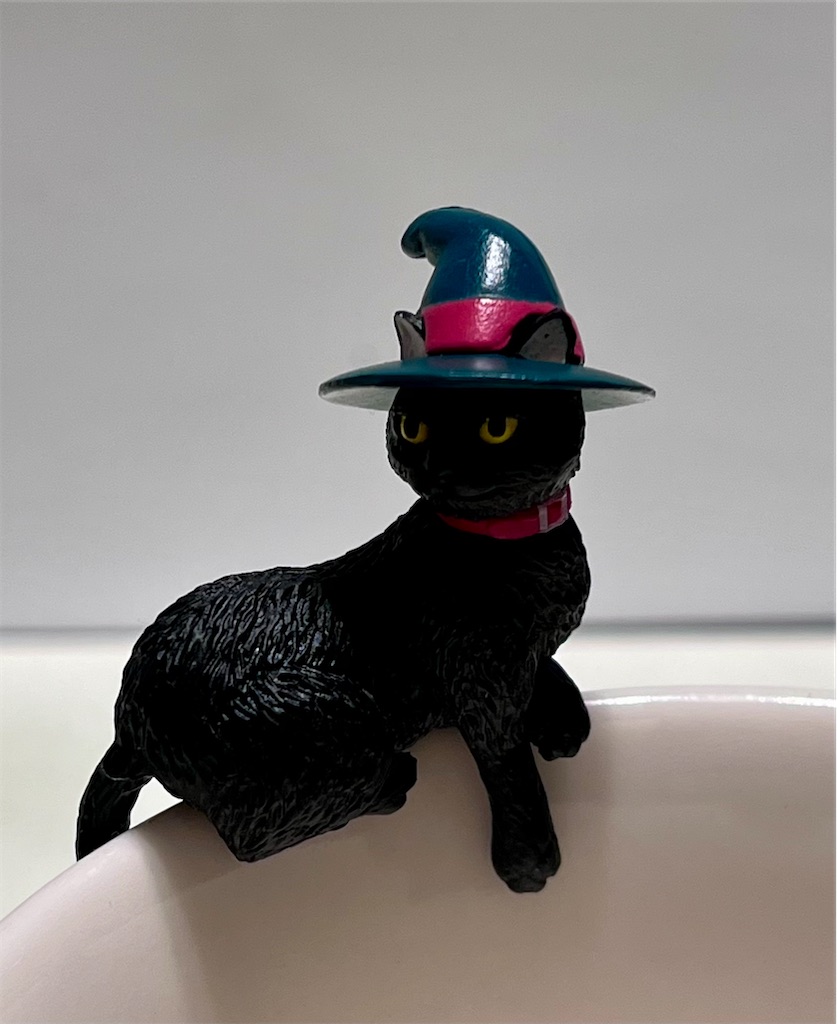 f:id:offtonmofu:20240522224037j:image