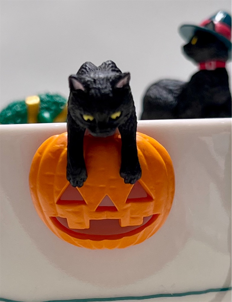 f:id:offtonmofu:20240522224139j:image