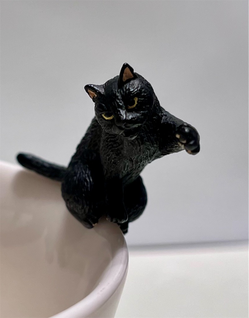 f:id:offtonmofu:20240522224234j:image