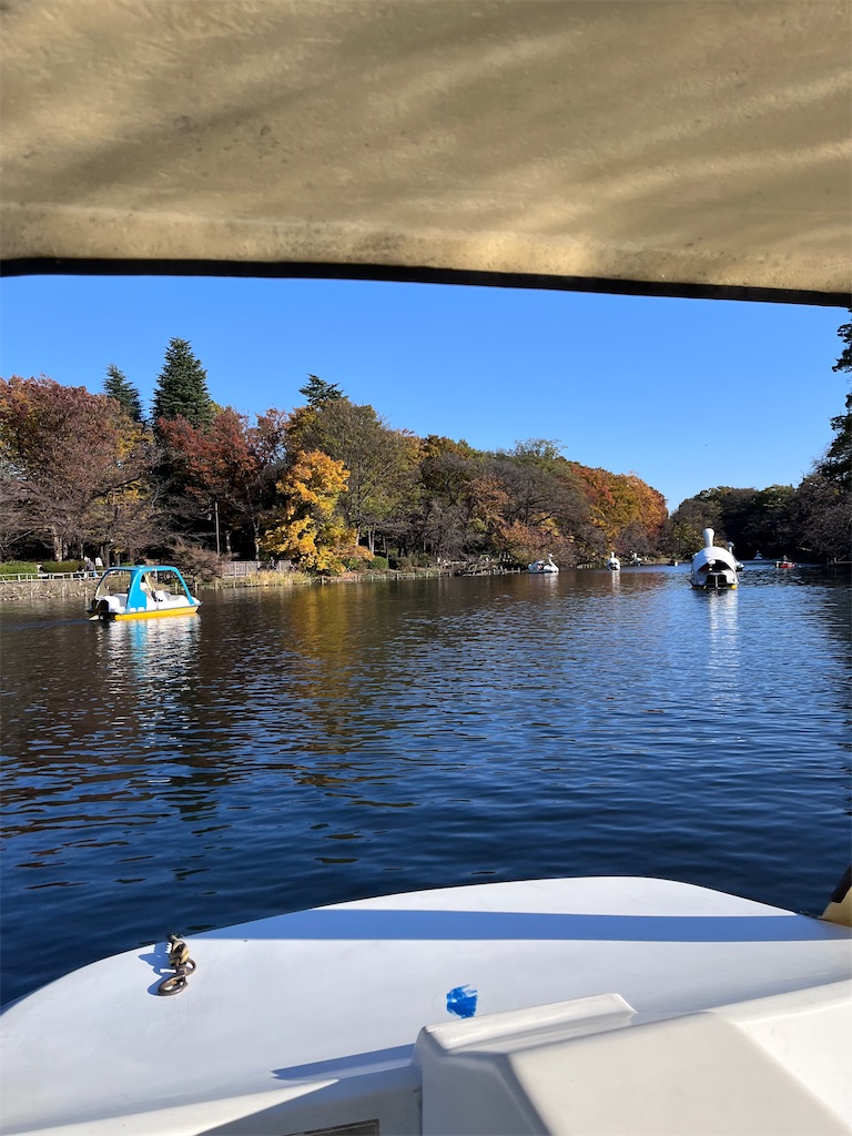 f:id:offtonmofu:20241129131228j:image