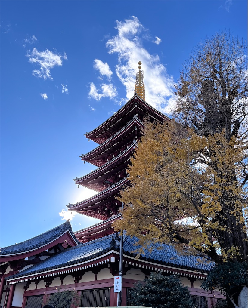 f:id:offtonmofu:20241208150428j:image f:id:offtonmofu:20241208150428j:image