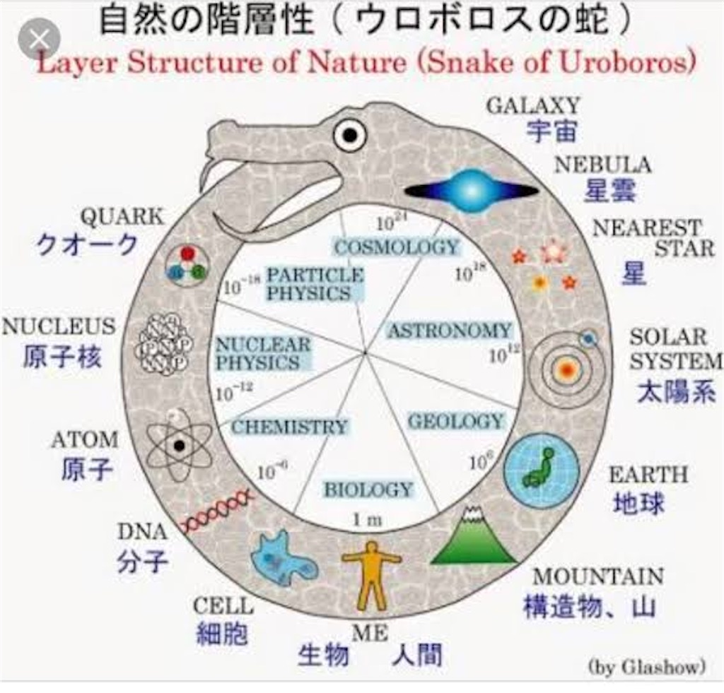 f:id:offtonmofu:20241213121446j:image f:id:offtonmofu:20241213121446j:image