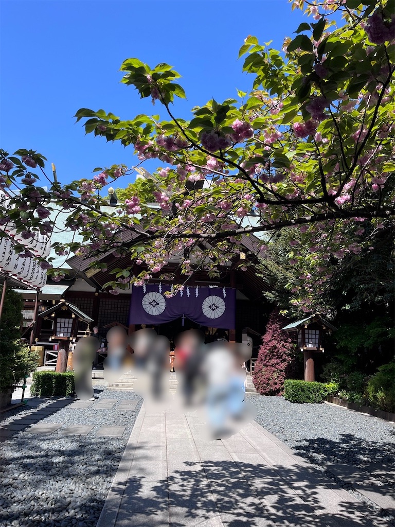 f:id:offtonmofu:20250416170819j:image f:id:offtonmofu:20250416170819j:image