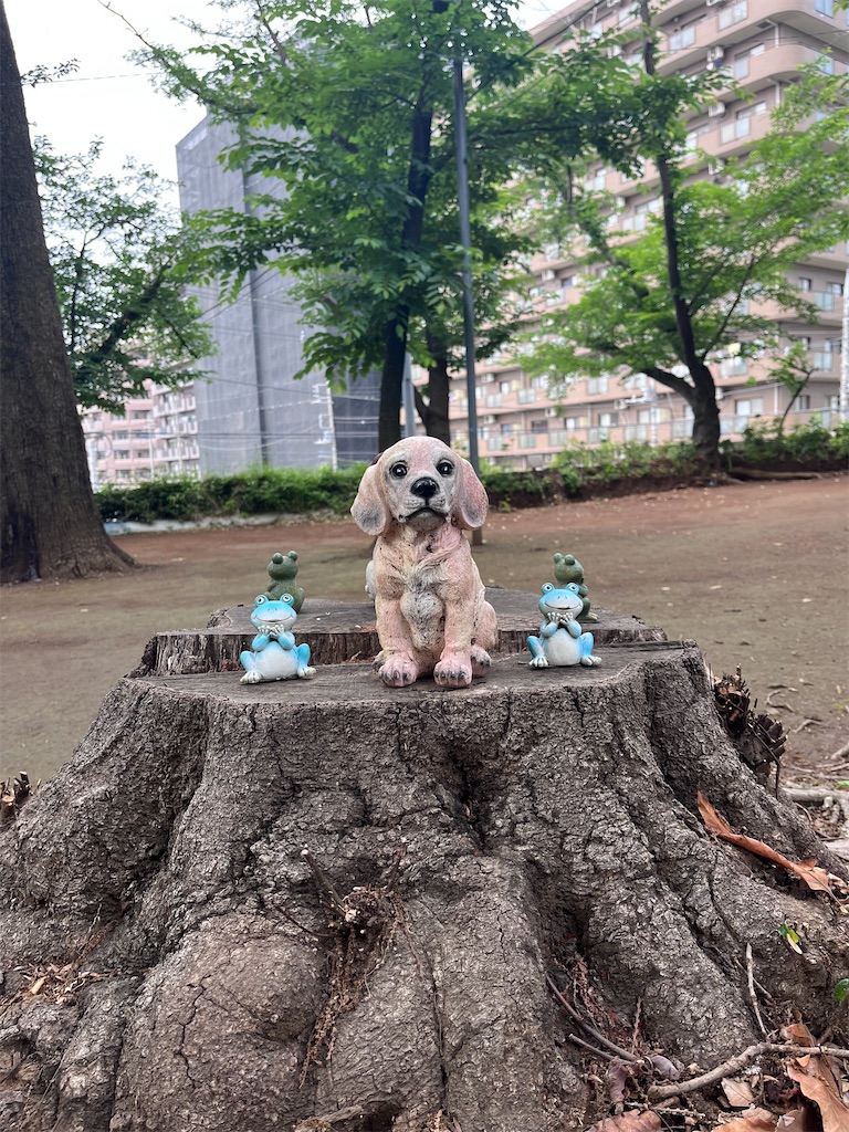 f:id:offtonmofu:20250602120557j:image