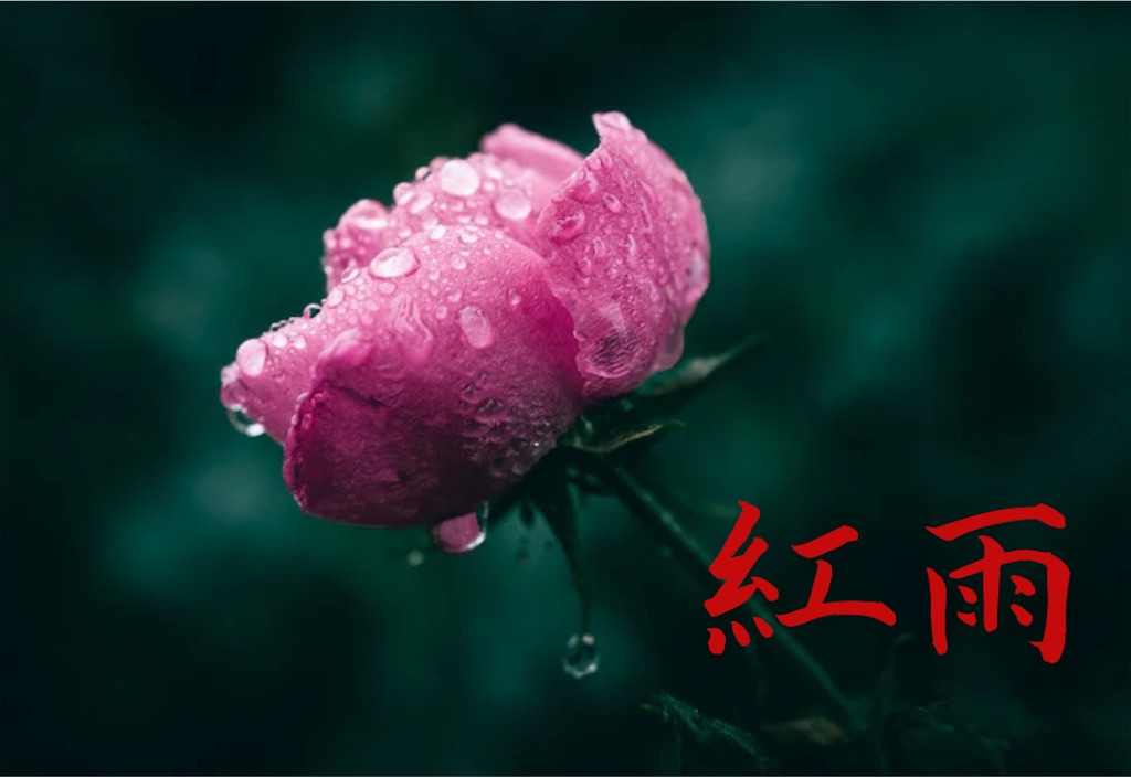 f:id:offtonmofu:20250614212639j:image