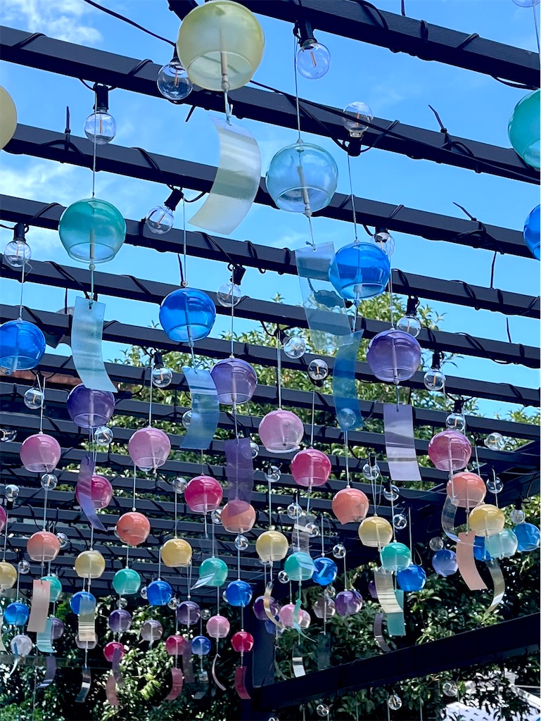 f:id:offtonmofu:20250811220333j:image