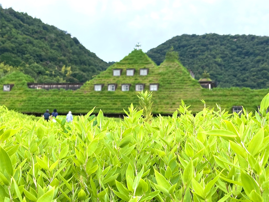 f:id:offtonmofu:20250811220340j:image