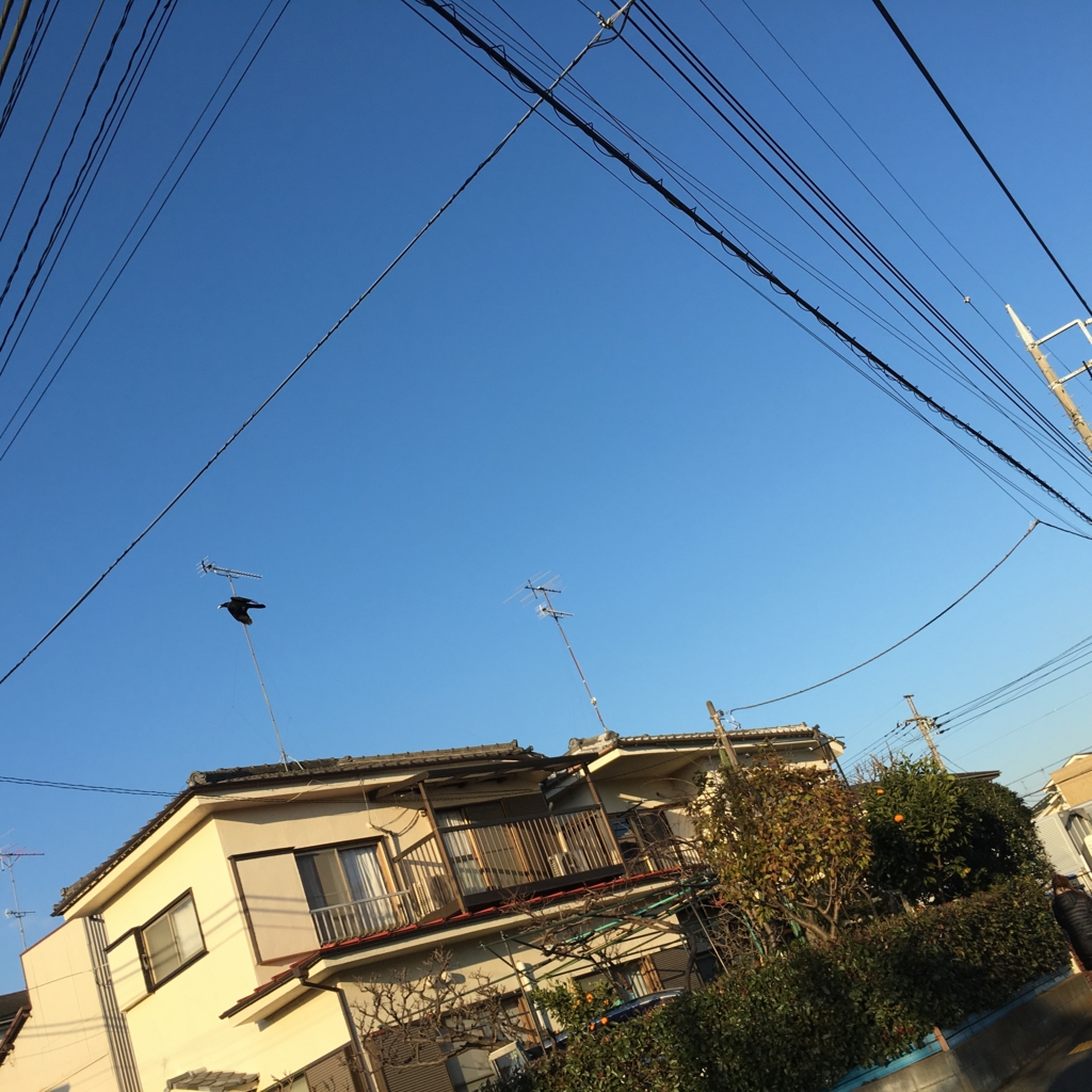 f:id:ofice-taniguti-365:20161219163647j:plain f:id:ofice-taniguti-365:20161219163647j:plain