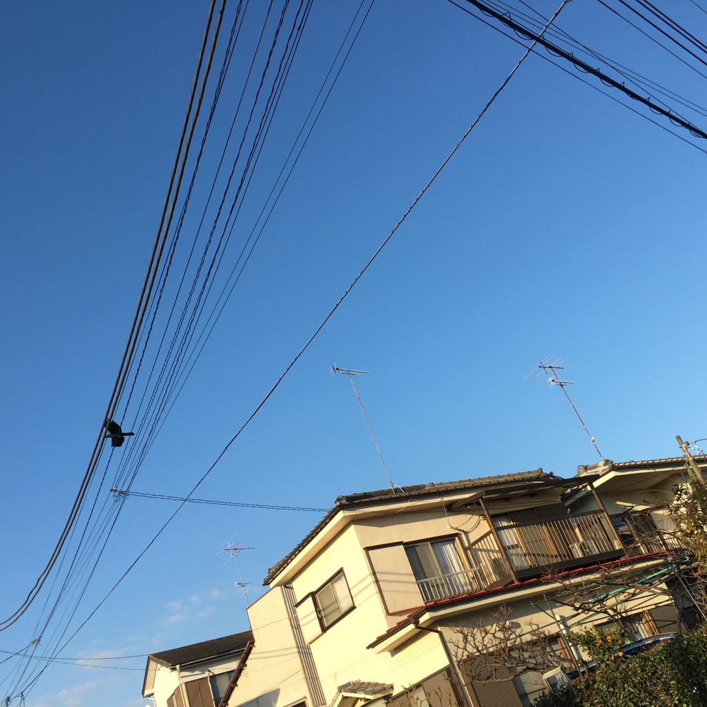 f:id:ofice-taniguti-365:20161219163740j:plain f:id:ofice-taniguti-365:20161219163740j:plain