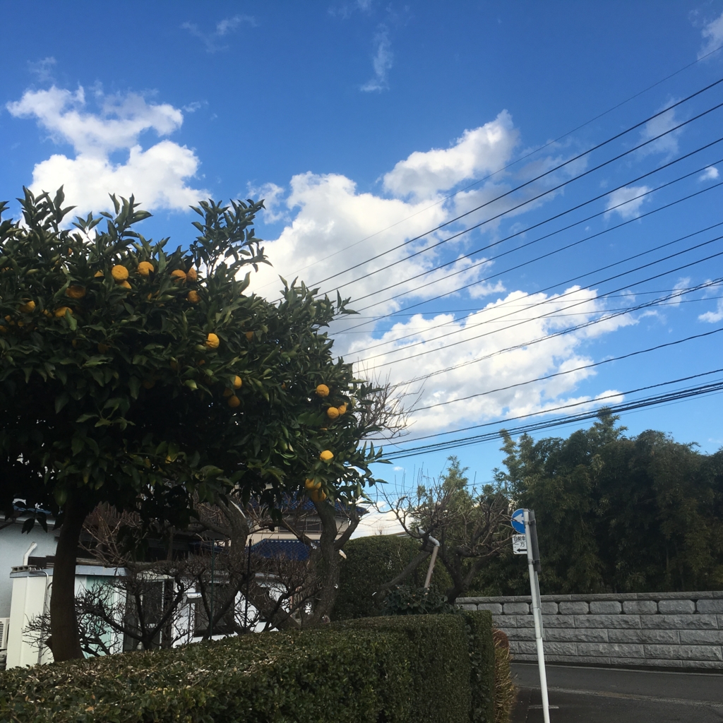 f:id:ofice-taniguti-365:20161223155226j:plain f:id:ofice-taniguti-365:20161223155226j:plain
