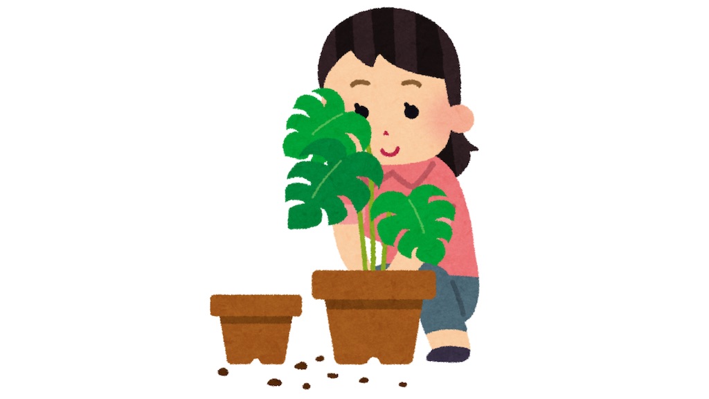 f:id:ofof0819:20251001162401j:image f:id:ofof0819:20251001162401j:image