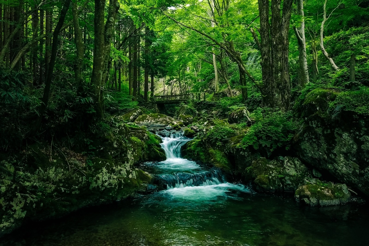 f:id:ofuji36:20190825215526j:plain f:id:ofuji36:20190825215526j:plain