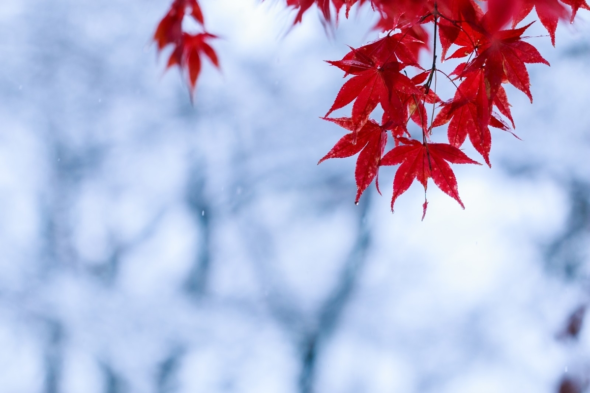 f:id:ofuji36:20190826223325j:plain f:id:ofuji36:20190826223325j:plain