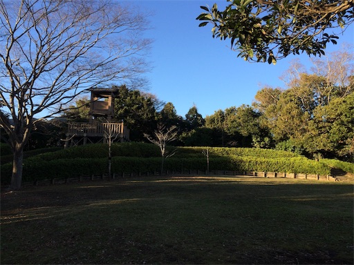 f:id:ofuku53:20170219013003j:image f:id:ofuku53:20170219013003j:image