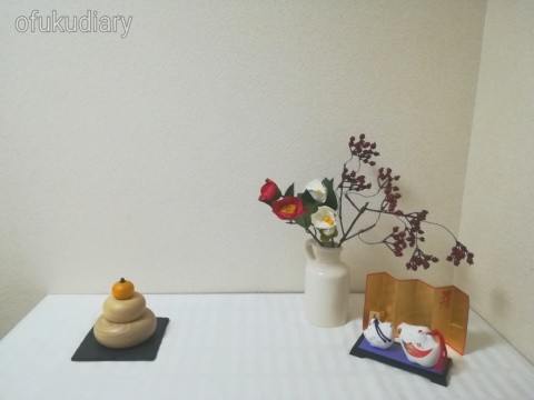 f:id:ofukudiary:20190109215643j:image f:id:ofukudiary:20190109215643j:image