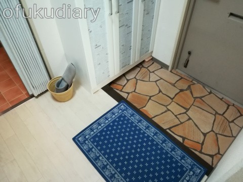 f:id:ofukudiary:20190205214155j:plain f:id:ofukudiary:20190205214155j:plain