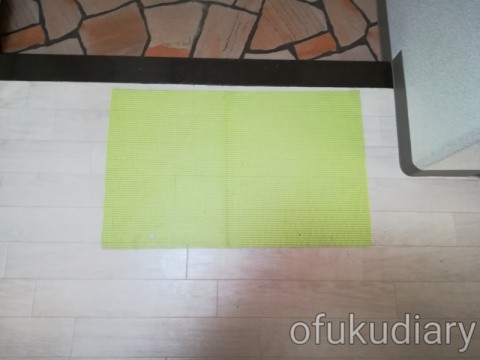 f:id:ofukudiary:20190205214208j:plain f:id:ofukudiary:20190205214208j:plain