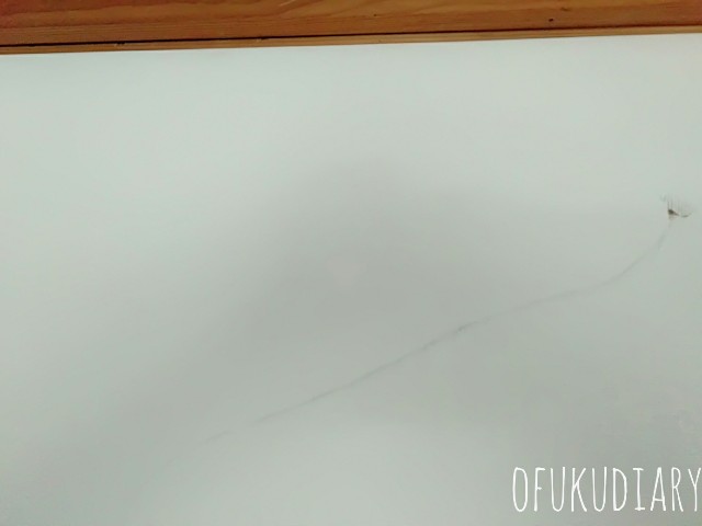 f:id:ofukudiary:20190703112929j:plain f:id:ofukudiary:20190703112929j:plain