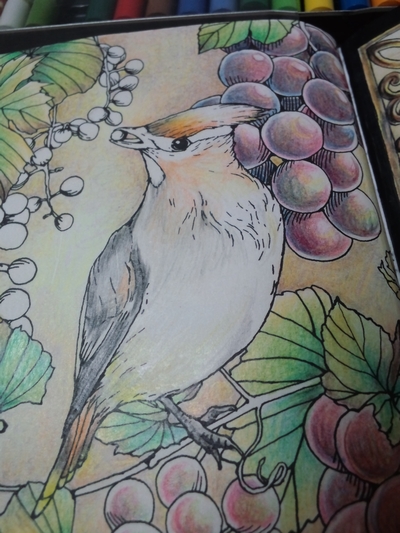 f:id:ofukusuke:20161117073609j:plain