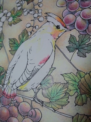 f:id:ofukusuke:20161117073913j:plain