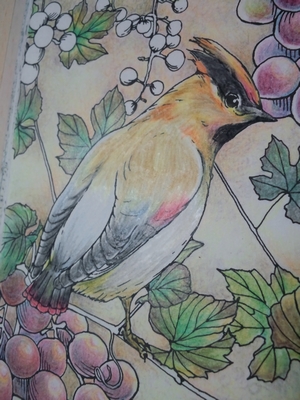 f:id:ofukusuke:20161117073928j:plain