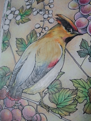 f:id:ofukusuke:20161117073936j:plain