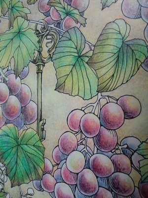 f:id:ofukusuke:20161117074600j:plain