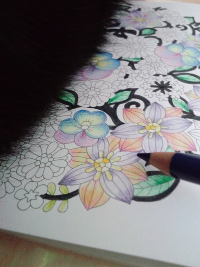 おしゃれ 花 枠 イラスト 白黒 – homu interia 塗り絵の枠の部分の謎… - 塗り絵日記